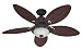 41alA1Gd63L. SL75  Ceiling Fan Drumming
