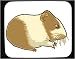 Decorated Mouse Pad with marsvin, gerbil, domestic, exotic, pet, animal, rodent, hamster
