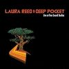 Live at Tree Sound Studios (W/Dvd)
