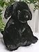 15" Black Lab Dog Make Your Own *NO SEW* Stuffed Animal Kit w/T-shirt