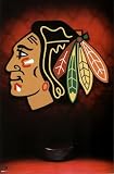 41alx9WPZgL. SL160  Chicago Blackhawks Logo NHL Art Poster Print 22x34 Sports Poster Print, 22x34 Poster Print, 22x34