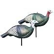 Delta Hen & Jake Set