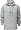 Michigan State Spartans Campus Yard Hooded Sweatshirt - Medium