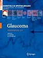 Glaucoma (Fundamentals in Clinical Ophthalmology Series)