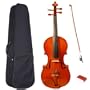 Antique Style Natural Color Full Size 4/4 Violin with Case and Accessories