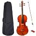 Antique Style Natural Color Full Size 4/4 Violin with Case and Accessories