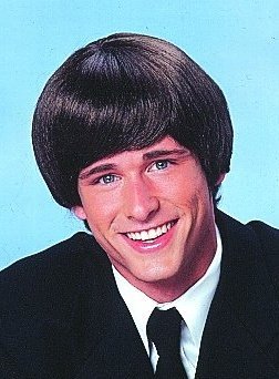Beatles/Shag Wig