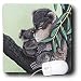 Steve Shachter Art - KOALA MOTHER - Mouse Pads