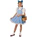 Rubies Costume Wizard of Oz Child's Deluxe Dorothy Costume, Small