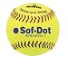 Sporting Goods : NEW WORTH DOZEN SR11RYSA 11" PRO TAC YELLOW RIF ASA SOFTBALLS