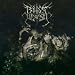 Emaciated Deity