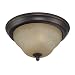 Jeremiah - 1 Light Flush Mount Ceiling Lighting Fixture - Augustine Bronze - Honey Glass - B5186