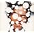 ���ɂȂ肽��
