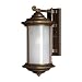 Hinkley Lighting 2544MT-ES Metro Bronze Hanna Traditional / Classic Energy Saving Outdoor Wall Lantern from the Hanna Collection