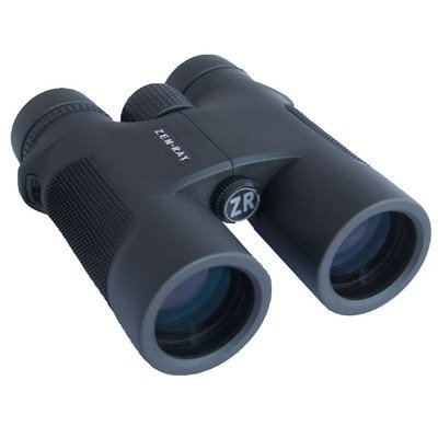 2010 VISTA 10x42 Binoculars