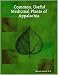Common, Useful Medicinal Plants of Appalachia