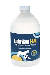 LubriSyn 1-Gallon Lubricant