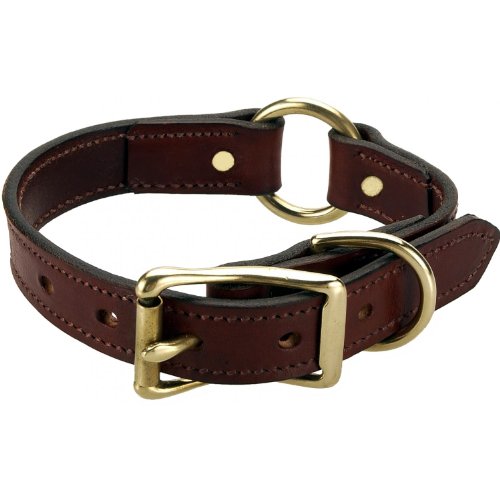 Mendota Narrow Hunt Collar - Chestnut - 3/4 Inch X 10 Inch