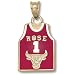 14kt Chicago Bulls ROSE Jersey 5/8in Enameled Pendant/14kt Yellow Gold
