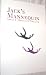 Jack's Mannequin Poster - Concert . The Glass Passenger