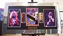 Led Zeppelin Live Framed Display