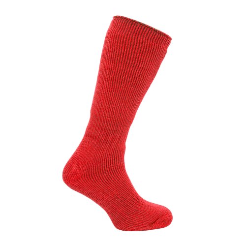Mens Heat Holders - Ultimate Thermal Socks (1 Pair) (US Shoe 7 - 12) (Red)