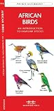 African Birds: An Introduction to Familiar Species (International Nature Guides)