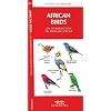 African Birds: An Introduction to Familiar Species (International Nature Guides)