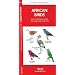 African Birds: An Introduction to Familiar Species (International Nature Guides)