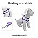 Pawtitas 6 FT Pet Puppy Leash Reflective Dog Leash Comfortable Handle Highly Reflective Threads Heavy Duty Dog Training Leash Available as a 6 ft Medium Dog Leash or 4 ft Dog Leash