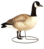 Final Approach Last Pass High Definition Lesser Canada Upright Field Decoy, 4 Pack