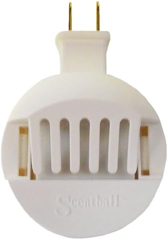 Home Diffuser Kit w/ Love Spell