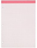 Ampad 20-287, Evidence Dual Pads, Letter Size, Pink Ruling 4 sq. / In. 100 Sheets Per Pad, 1 Each
