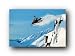 SNOWMOBILE SNOW POWDER MOUNTAIN JUMP POSTER NEW 33305