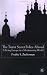 The Paris Review Book: Policing Europe in a Modernising World