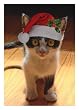 XMAS COUNTER W/ KITTY W/SANTA HAT