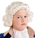 Colonial Boy Child Wig Size One-Size