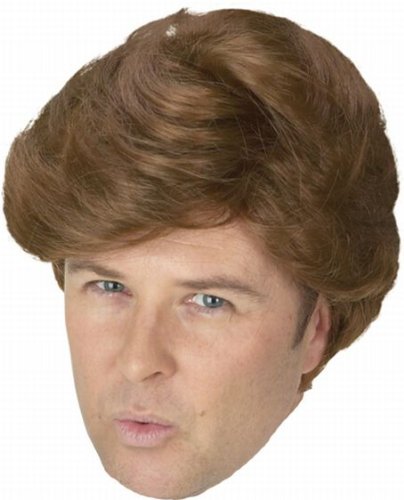 Donald Trump Wig
