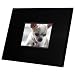  : TAO 5.6-Inch 128MB Contemporary Digital Frame (Black Acrylic)