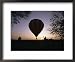Hot Air Balloon Framed Art Poster Print by Joel Sartore, 22x18