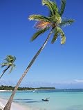 Punta Cana, Dominican Republic, West Indies, Central America Photographic Poster Print by J Lightfoot, 30x40
