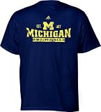 Michigan Wolverines Revered Distressed T-Shirt