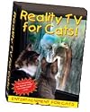 Reality TV for Cats!