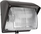 IMAGE OF RAB Lighting WP1GH50 Wall Wall Pack
