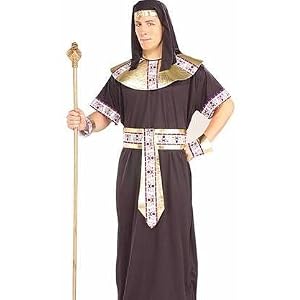 New Mens Costume Adult Egyptian Pharaoh King Tut Outfit Adult Standard (Chest 52)