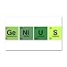 22 x 14 Wall Vinyl Sticker Genius Periodic Table of Elements Science Geek Nerd
