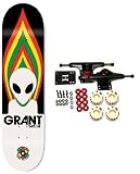 ALIEN WORKSHOP Complete Skateboard TAYLOR RASTA TORCH