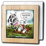 Review 3dRose LLC  / Fungi Philosophy ala Descartes - 6 Inch Tile Napkin Holder