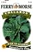 Ferry-Morse Seeds 1269 Collard Greens 2.5 Gram Packet