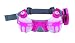 Fuelbelt R2O Revenge Hydration Belt, Hibiscus Pink/Silver
